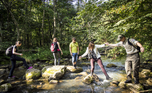 19_Dukstos pazintinis takas1 (2).jpg